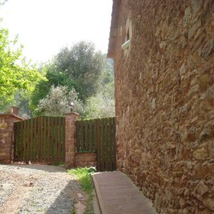 casn_pere_moliner_20110104_1007309892