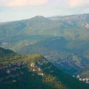 el_bosque_20111227_1450854993